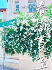 春潮夏至小说