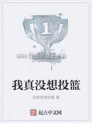 我真没想投篮小说