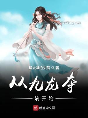 从九龙夺嫡开始小说