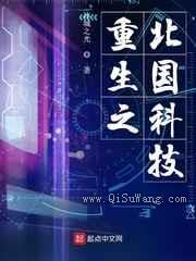 重生之北国科技小说