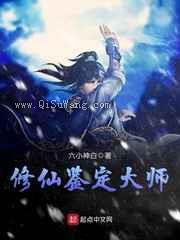 修仙鉴定大师小说