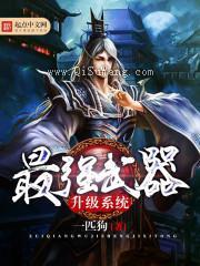 最强武器升级系统小说