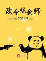 改命炼金师小说