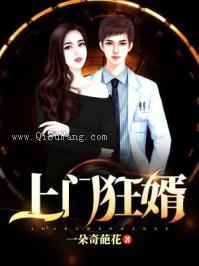 上门狂婿小说