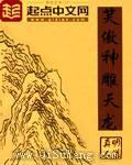 笑傲神雕天龙小说
