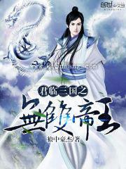 君临三国之无双帝王小说