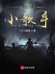 我只是个小歌手小说