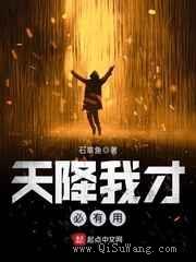 天降我才必有用小说