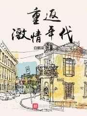 重返激情年代小说