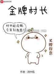 金牌村长小说
