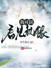 我可以看见机缘小说