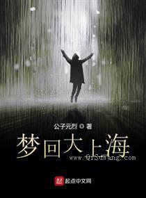 梦回大上海小说