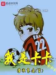 我是卡卡卡卡卡小说