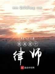 我真是个律师小说