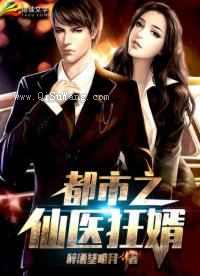 都市之仙医狂婿小说