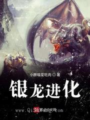银龙进化小说