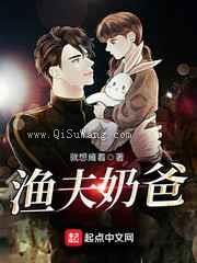 渔夫奶爸小说