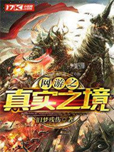 网游之真实之境小说