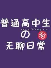 普通高中生的无聊日常小说