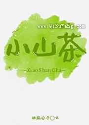 小山茶小说