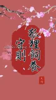 狐狸饲养守则小说