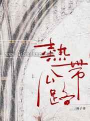 热带公路小说