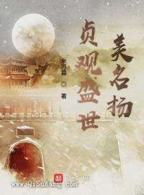 贞观盛世美名扬小说