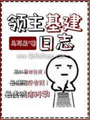 领主基建日志小说