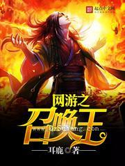 网游之召唤王小说