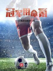 冠军用命氪小说