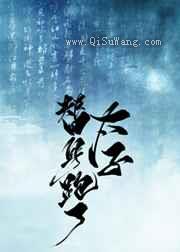 太子殿下，您才是替身啊小说