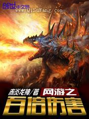 网游之百倍伤害小说