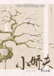 小娇夫小说
