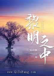 黎明之中小说