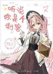 听说你是个刺客小说