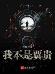 我不是贾贵小说