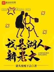 我是湖人新老大小说