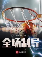 全场制导小说