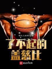 了不起的盖慈比小说