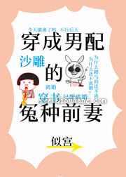 穿成男配的冤种前妻小说