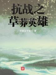 抗战之草莽英雄小说