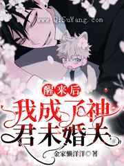 醒来后我成了神君未婚夫小说