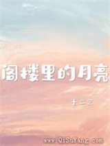 阁楼里的月亮小说