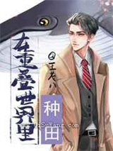 在重叠世界里种田小说