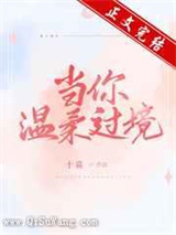 当你温柔过境小说