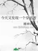 今天又发现一个穿书者小说