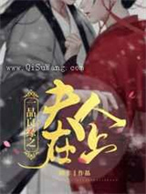 一品良缘之夫人在上小说