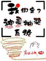 我绑定了神灵抽奖系统小说
