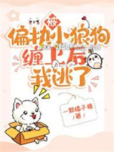 被偏执小狼狗缠上后我逃了小说