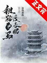 银鞍白马度春风小说